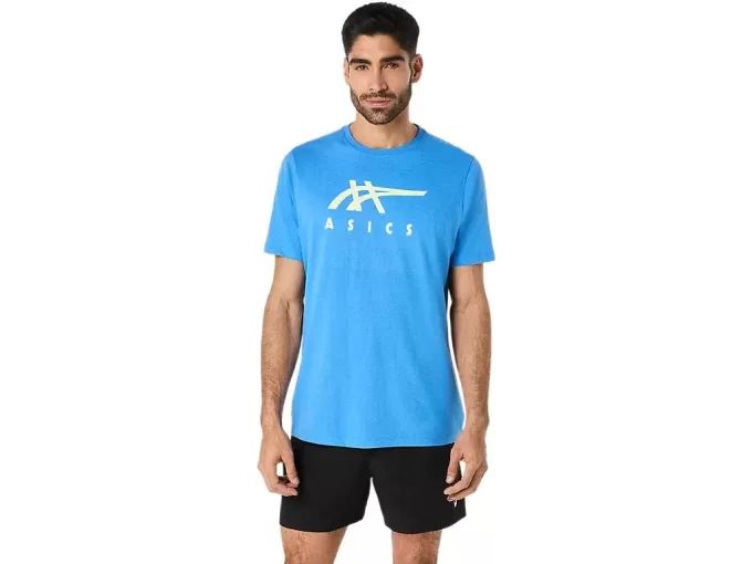 ASICS STRIPETE KORT ERME T-SKJORTE