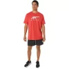 ASICS STRIPETE KORT ERME T-SKJORTE