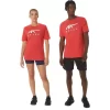 ASICS STRIPETE KORT ERME T-SKJORTE
