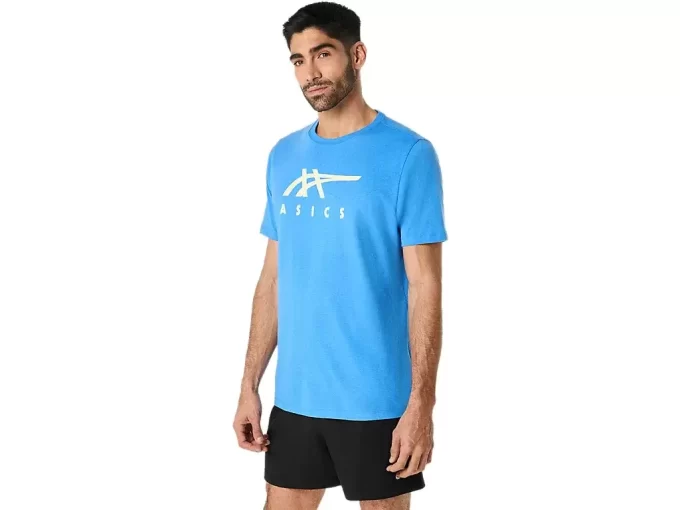 ASICS STRIPETE KORT ERME T-SKJORTE
