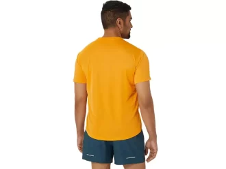 FUJITRAIL LOGO KORT ERME TOPP