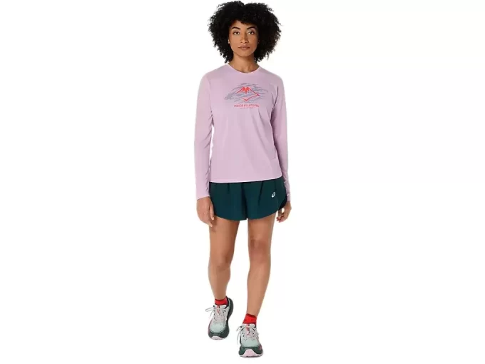 FUJITRAIL LOGO LANGERMET TOPP