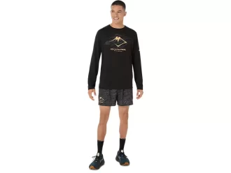 FUJITRAIL LOGO LANGERMET TOPP