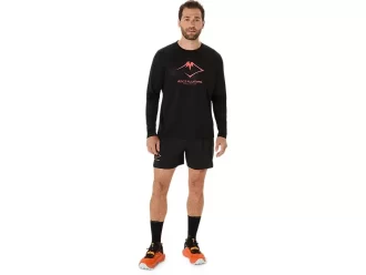 FUJITRAIL LOGO LANGERMET TOPP