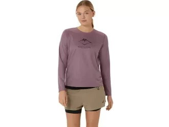 FUJITRAIL LOGO LANGERMET TOPP