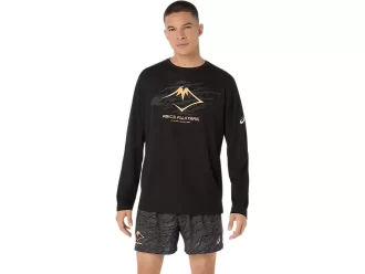 FUJITRAIL LOGO LANGERMET TOPP