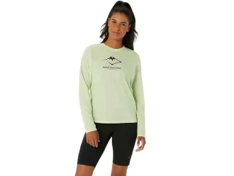 FUJITRAIL LOGO LANGERMET TOPP