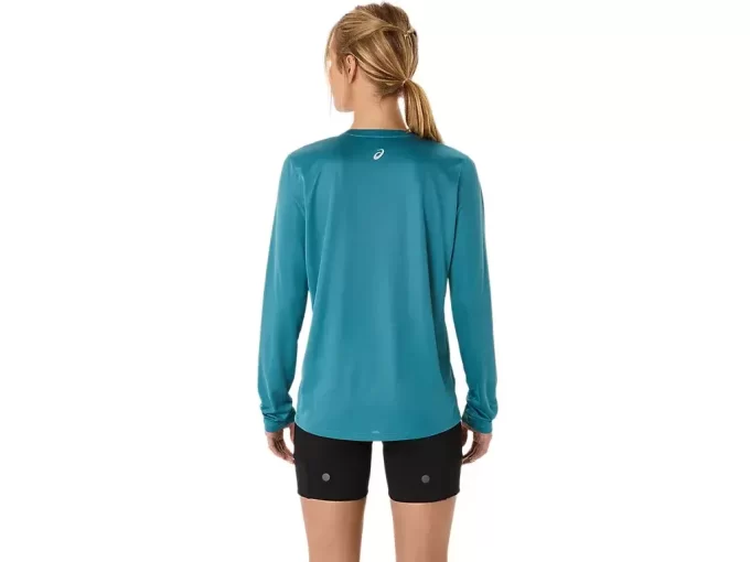 FUJITRAIL LOGO LANGERMET TOPP