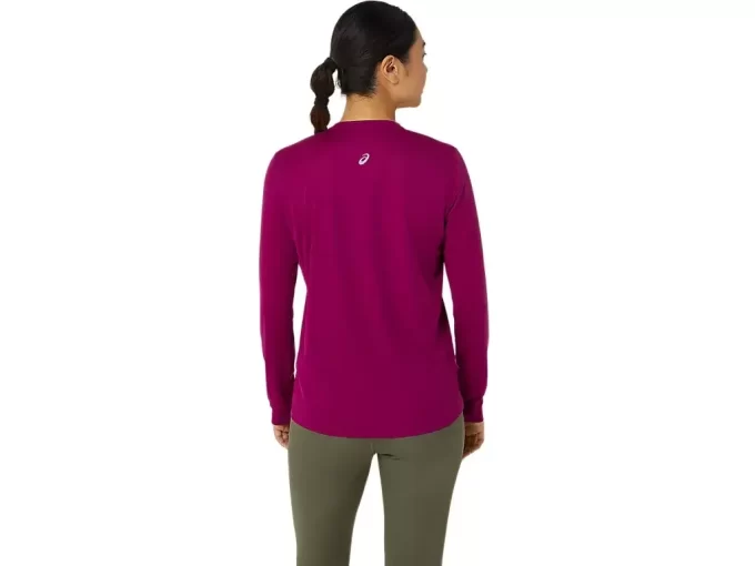 FUJITRAIL LOGO LANGERMET TOPP