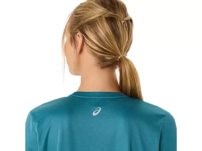 FUJITRAIL LOGO LANGERMET TOPP