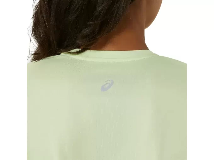 FUJITRAIL LOGO LANGERMET TOPP