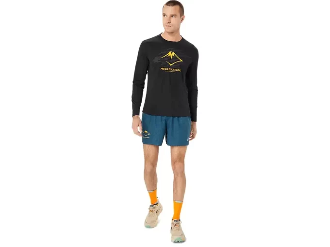 FUJITRAIL LOGO LANGERMET TOPP