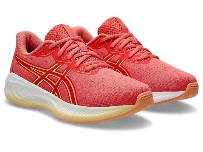 GEL-CUMULUS 26. BARNESKOLE GEL-CUMULUS 26. BARNESKOLE