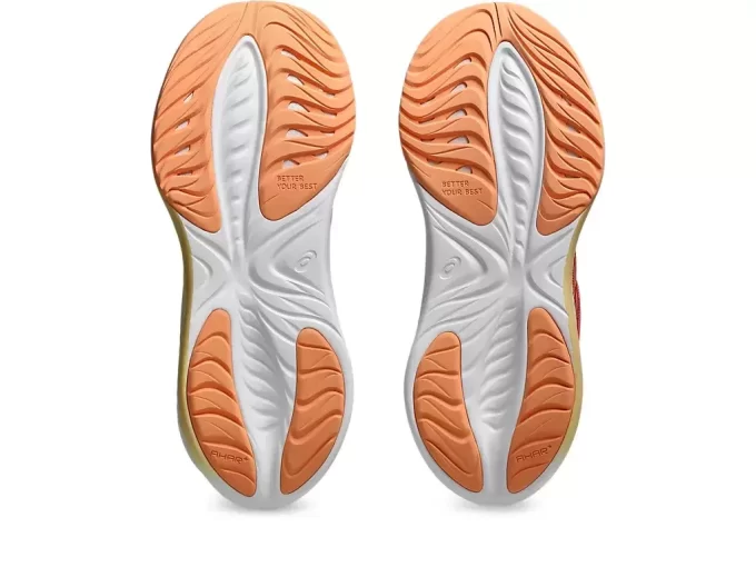 GEL-CUMULUS 26. BARNESKOLE GEL-CUMULUS 26. BARNESKOLE