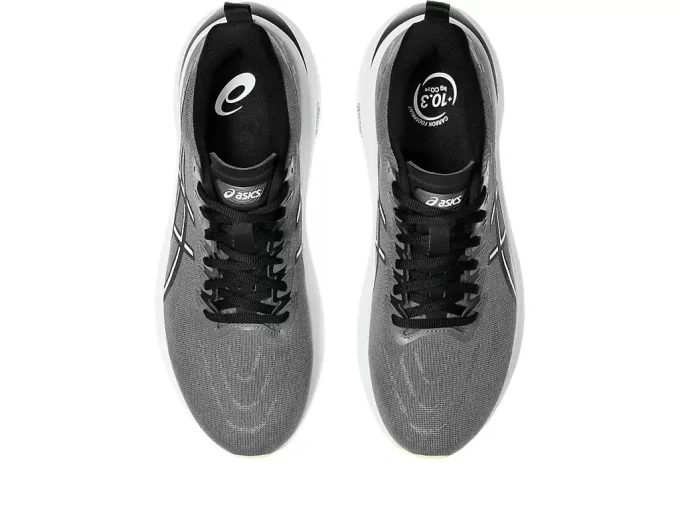 GT-2000 13 BRED GT-2000 13 BRED