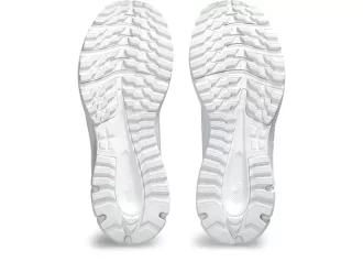 TRAIL SCOUT 3 VEISTET