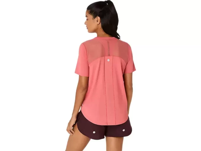 VEITOPP MED KORTERMET ERME