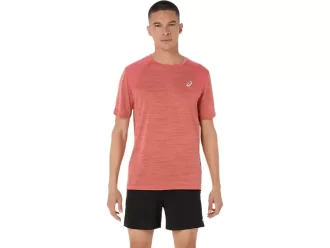 VEITOPP MED KORTERMET ERME