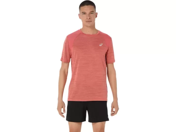 VEITOPP MED KORTERMET ERME