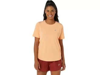 VEITOPP MED KORTERMET ERME