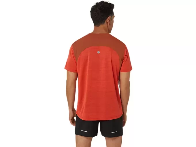 VEITOPP MED KORTERMET ERME