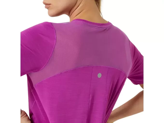 VEITOPP MED KORTERMET ERME