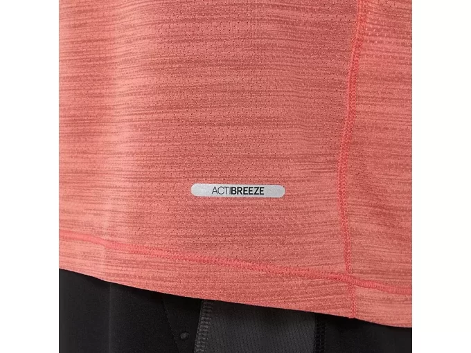 VEITOPP MED KORTERMET ERME