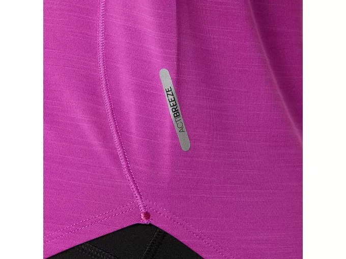 VEITOPP MED KORTERMET ERME