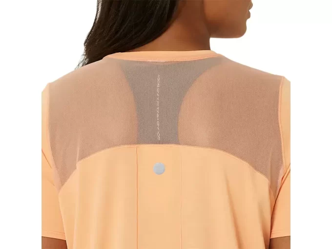 VEITOPP MED KORTERMET ERME VEITOPP MED KORTERMET ERME